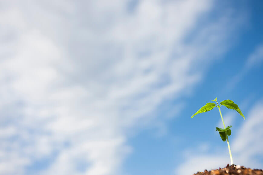 夢