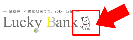 謎の犬