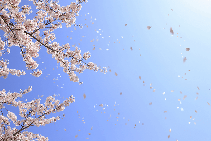 春の訪れ